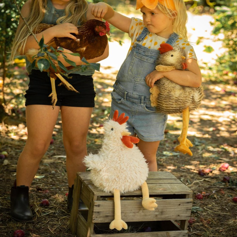Roy the Rooster - Your Adorable Plush Companion!