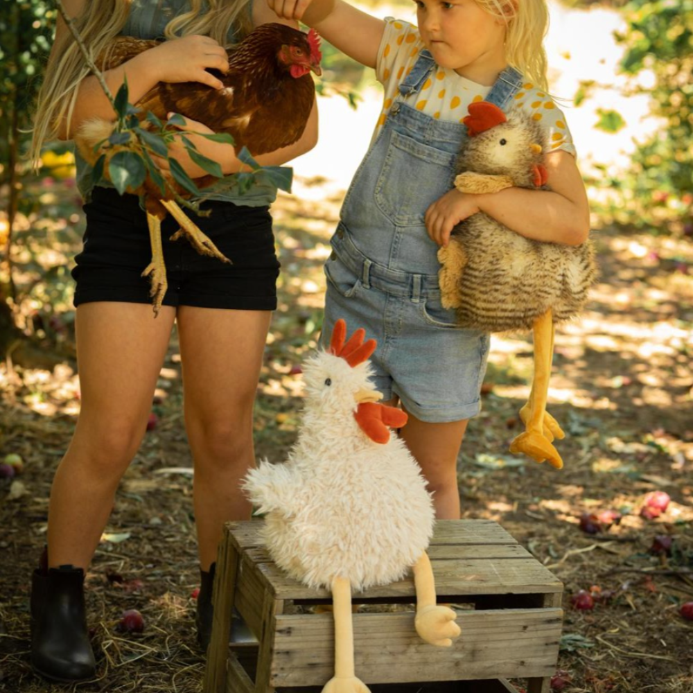 Roy the Rooster - Your Adorable Plush Companion!