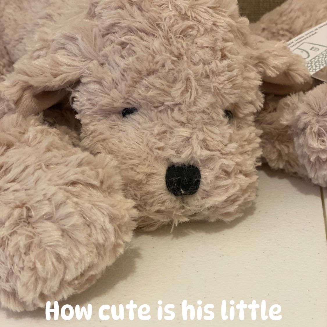 Max The Puppy Cuddly Soft Toy