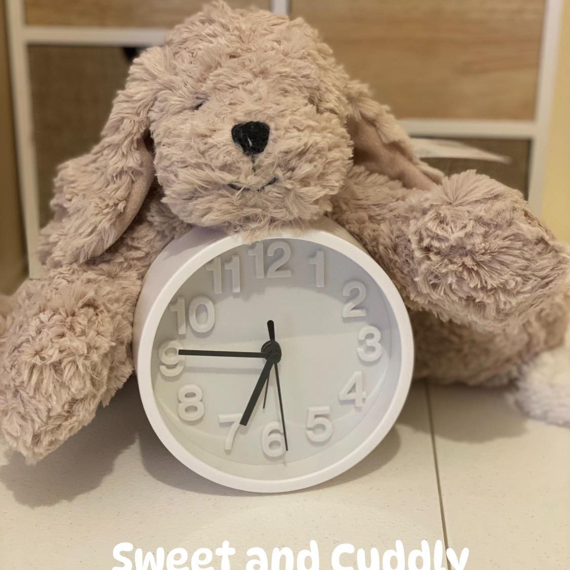 Max The Puppy Cuddly Soft Toy